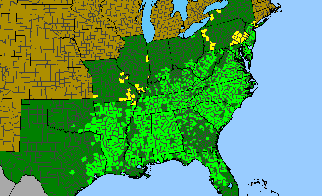 The range of Euonymus americanus
